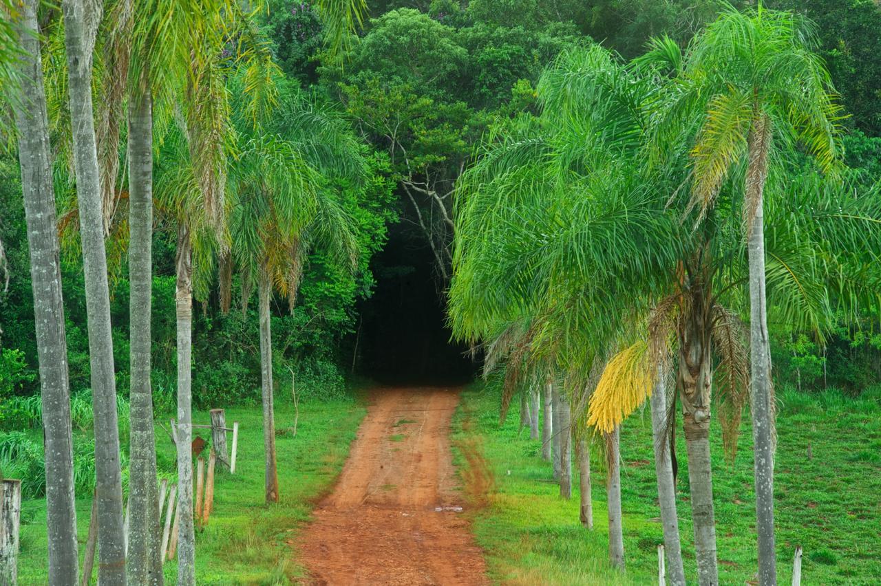 La Mision Mocona - Lodge De Selva Saltos del Moconá Exteriér fotografie