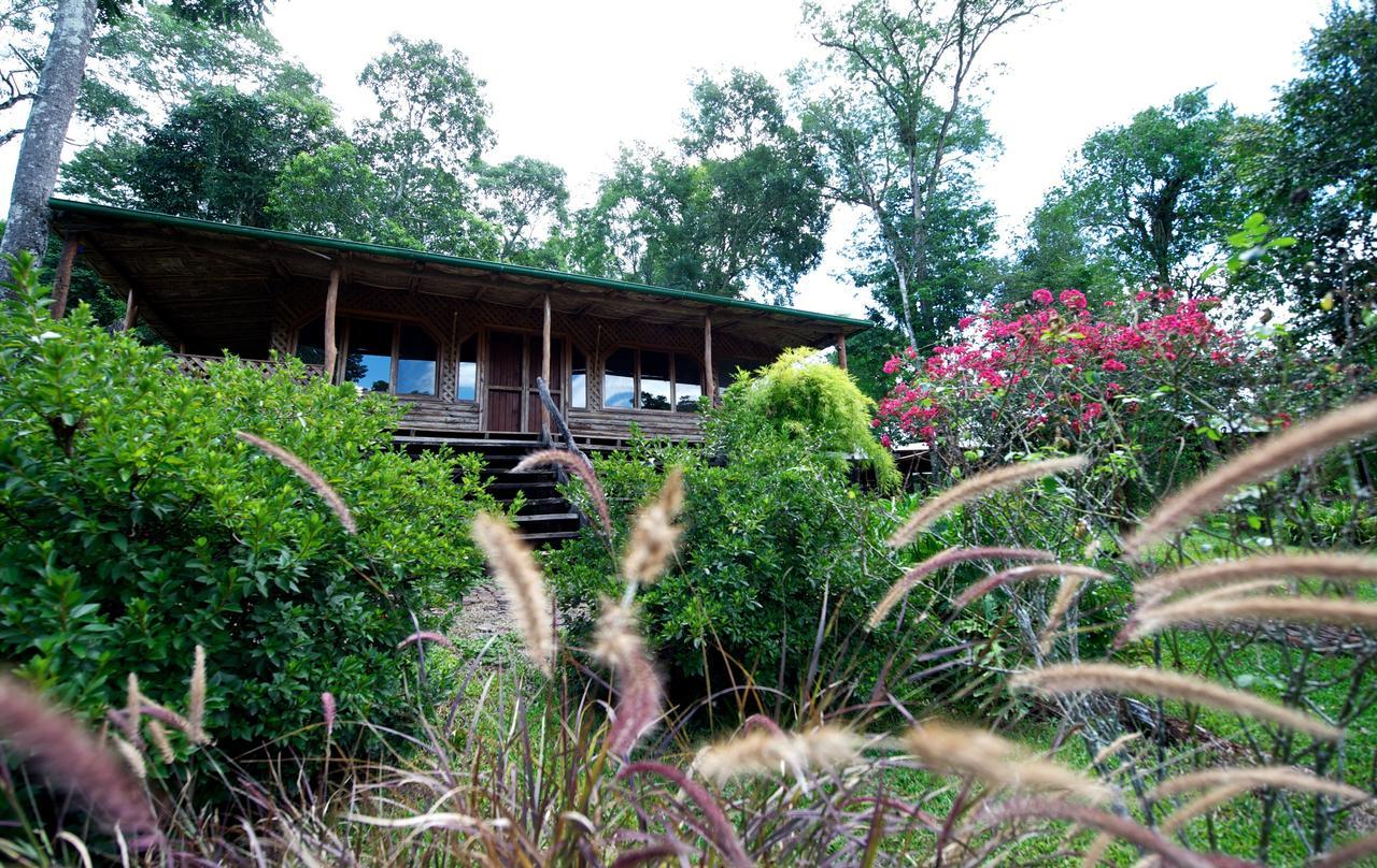 La Mision Mocona - Lodge De Selva Saltos del Moconá Pokoj fotografie