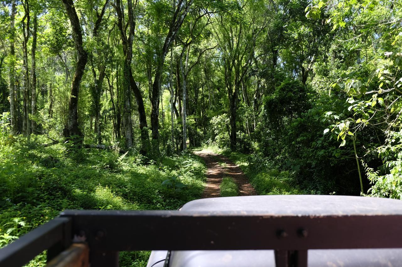 La Mision Mocona - Lodge De Selva Saltos del Moconá Exteriér fotografie