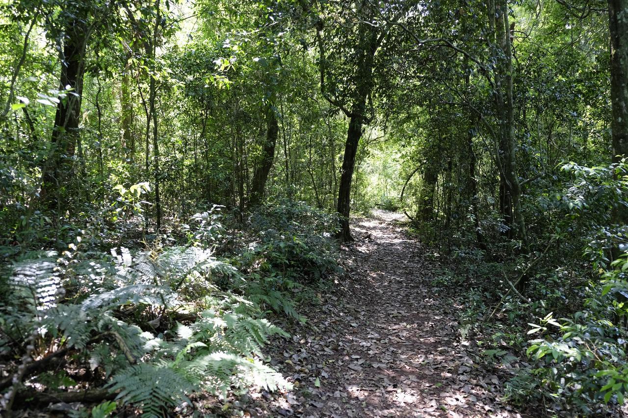 La Mision Mocona - Lodge De Selva Saltos del Moconá Exteriér fotografie